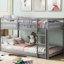 Lit superposé simple au-dessus d'un lit simple avec échelle-521032255