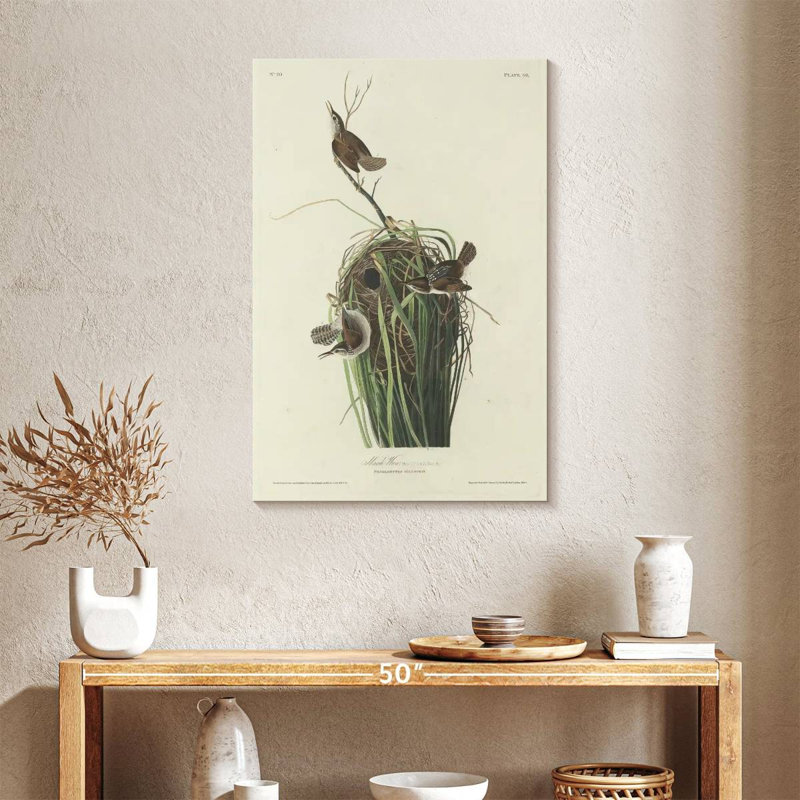 Keiri Marsh Wren, 36" H x 24" W