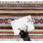 Tapis rouge lavable à la machine Southwestern-1880932747