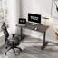 Metal Base Computer Desk-1707637073