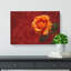 Orange Rose In Bloom - Wrapped Canvas-56630334