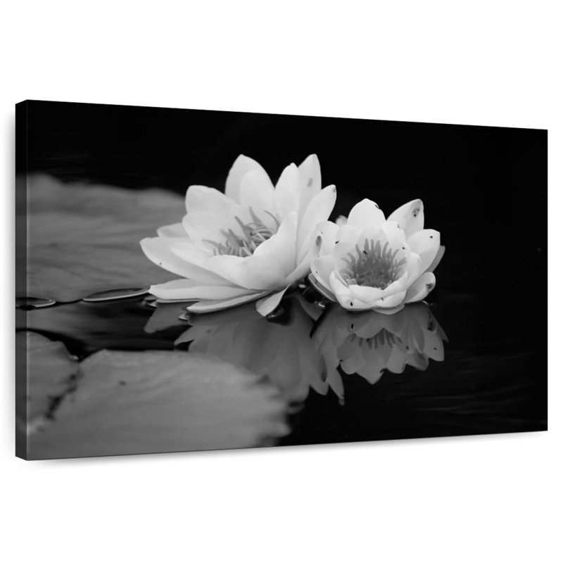 Harnek Monochrome Water Lilies, 26" H x 39" W