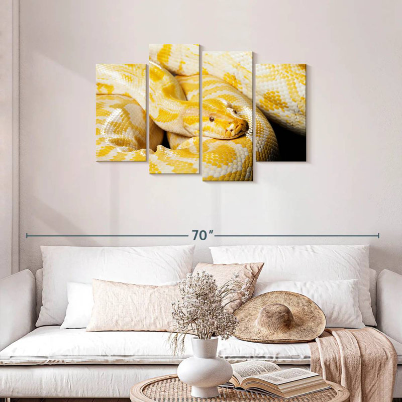 Albino Burmese Python, 27" H x 43" W