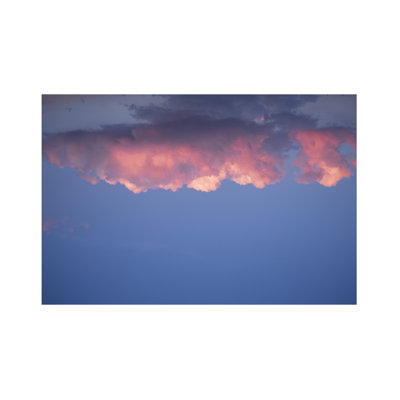 Pink Cloud Print by Francis Augustine