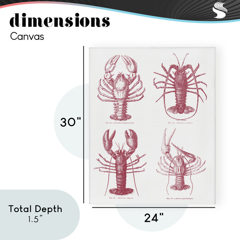 Timeless Lobsters Species, H 30 po x l 24 po