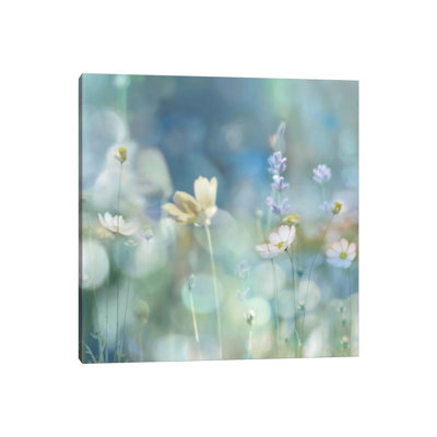 Morning Meadow II by Kate Carrigan - Print on Canvas