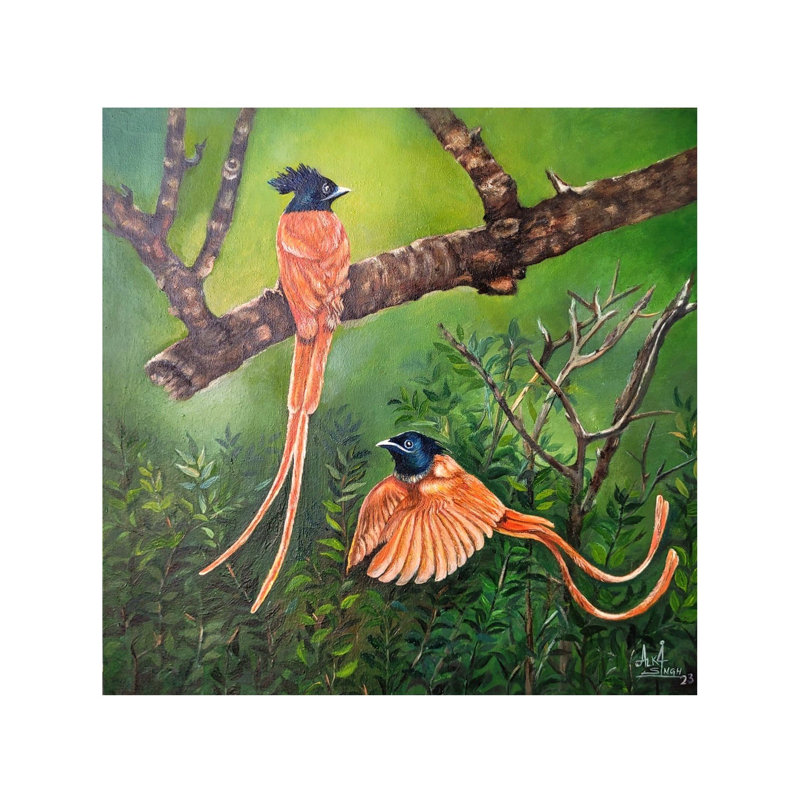 Paradise Flycatcher | Oil On Canvas | By Alka Sengar