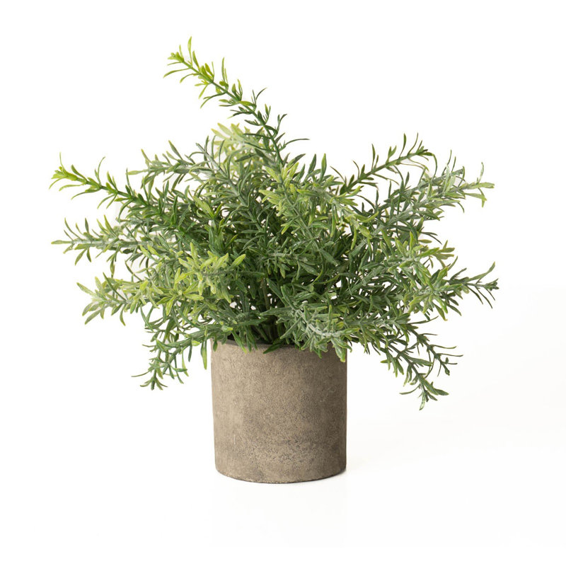 24cm Faux Rosemary Plant in Stone Freestanding