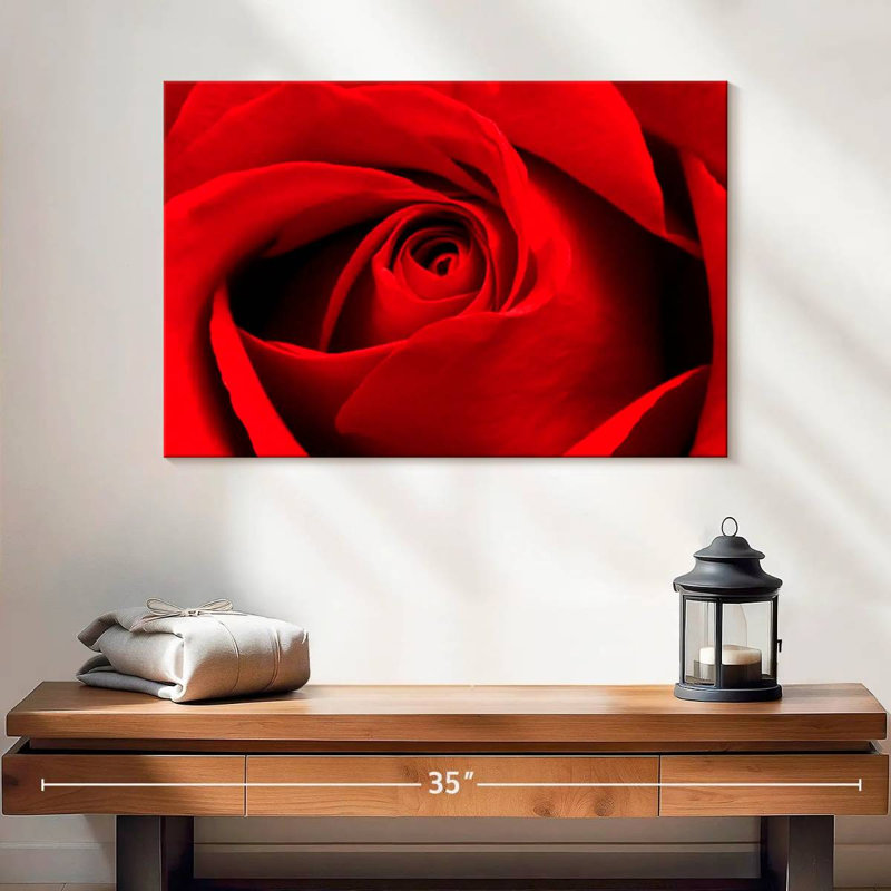 Harnek, gros plan d'une rose rouge, H 16 po x l 24 po