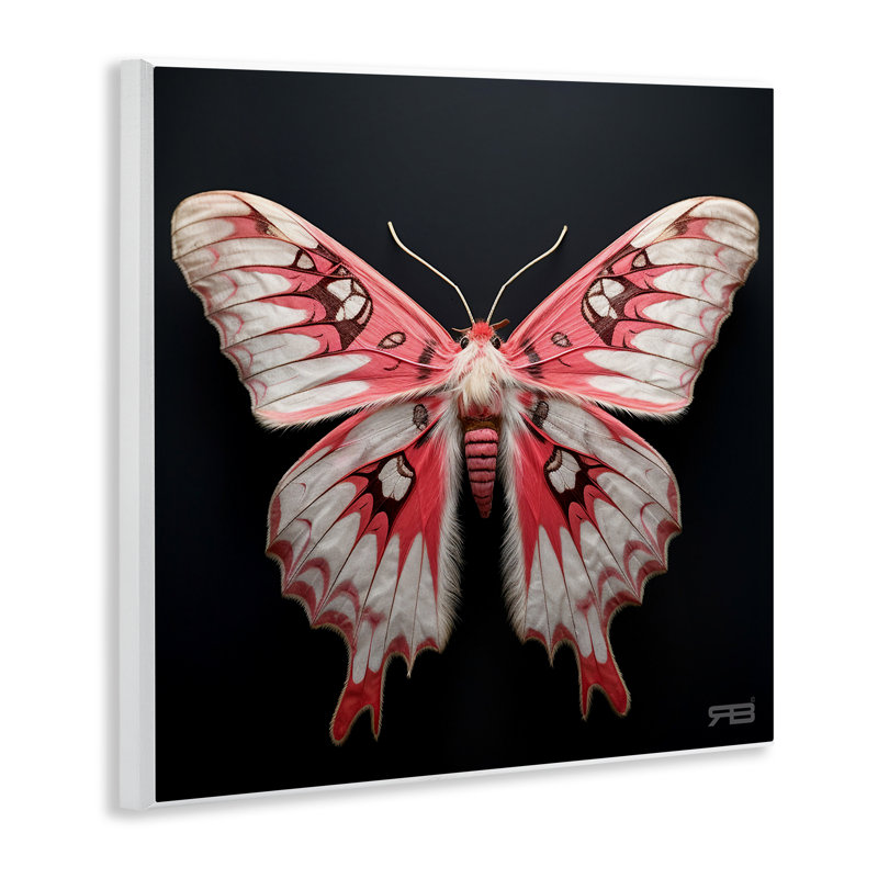 Art mural rouge et blanc sur papillon de nuit par Roozbeh Bahramali