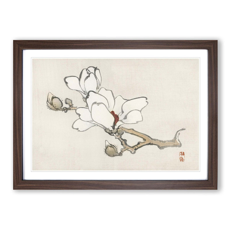 White Magnolia by Kono Bairei - Framed Print, Walnut, 35cm H x 50cm W x 2cm D