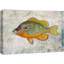 Crapaud orange sur fond de granit, vie marine, réalisme nautique, ultra sur toile-97558736-97558737