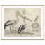 Oiseaux de mer - ensemble de 2 impressions sur papier encadré