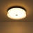 Galaxy-Like Dimmable LED Flush Mount