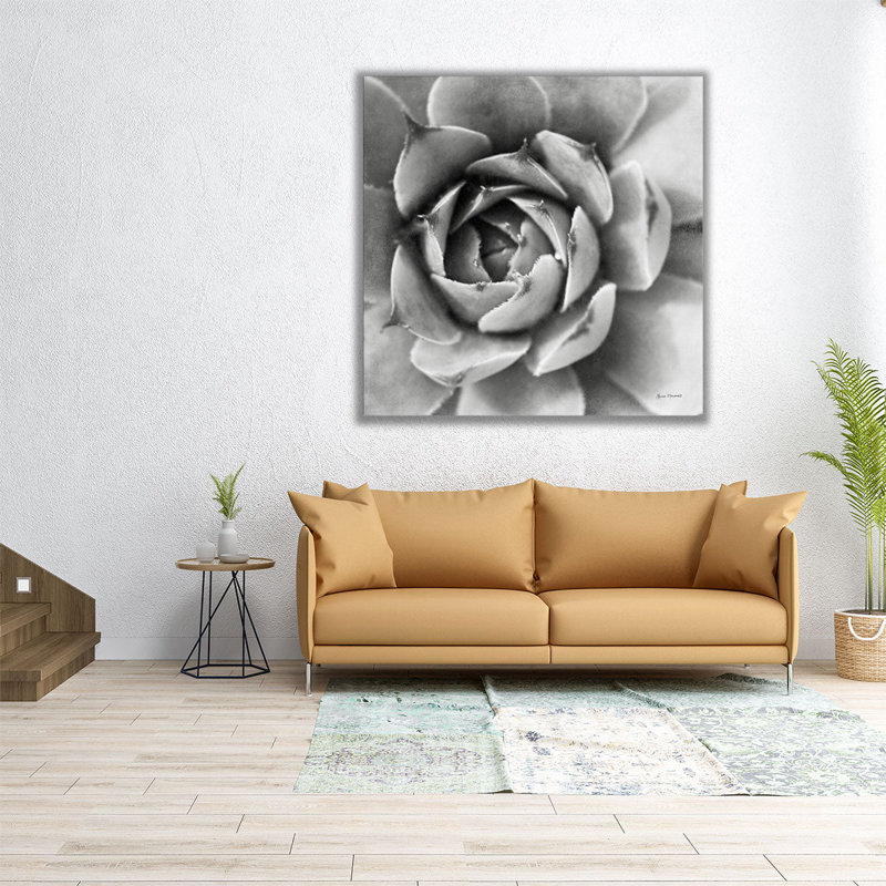 «Garden Succulent II», reproduction d'art sur toile, H 12 po x l 12 po