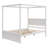 Dilyla Storage Canopy Bed-609413282-668383170