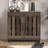 Banos 12 Pair Shoe Storage Cabinet-2124860006