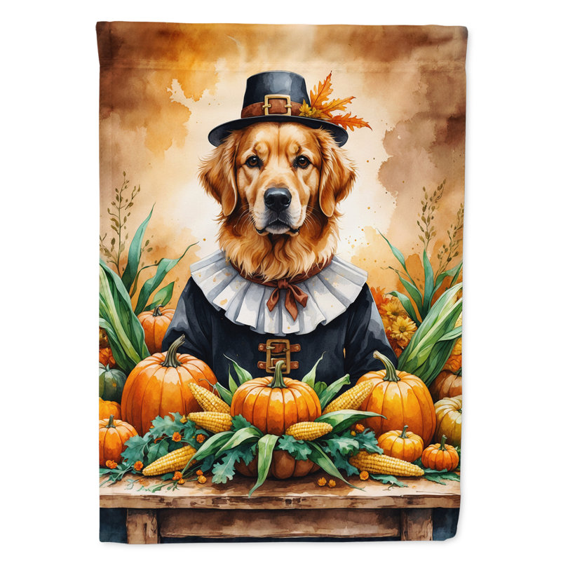 Drapeau de l'Action de grâce, Golden Retriever