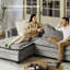 Esteban 187.96cm W Modern 2 Seater Sofa with Elephant Ear-Shaped Armrests-618719716