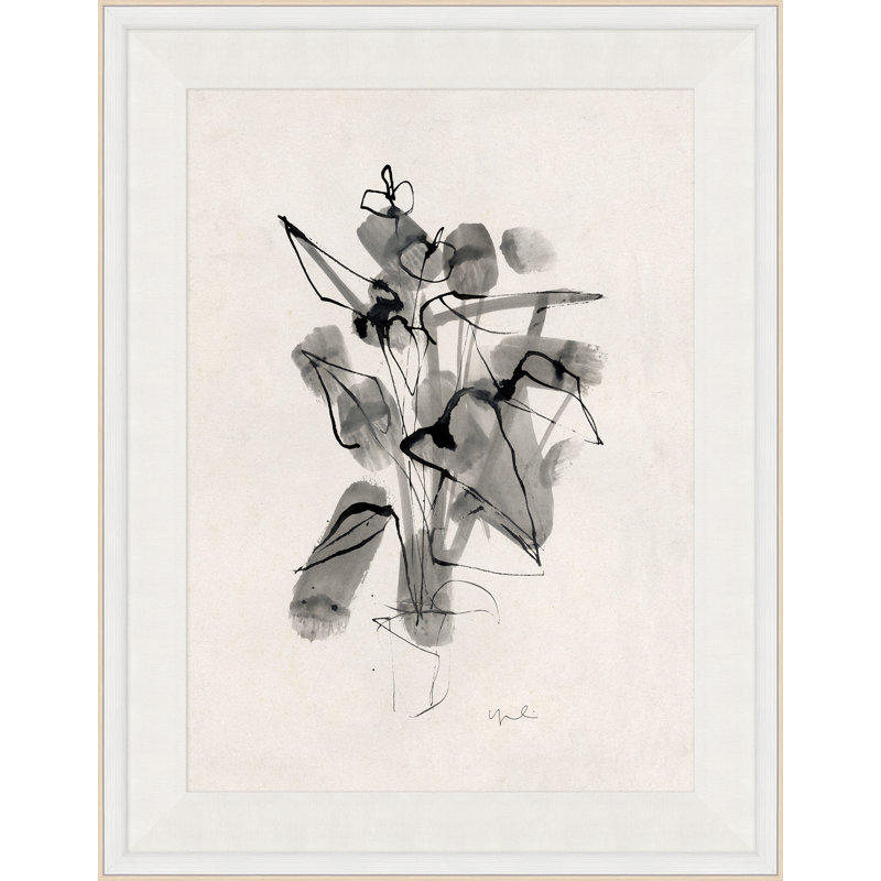 Plante IV