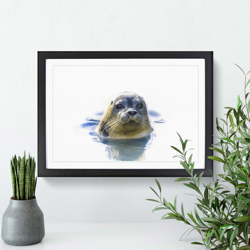 Grey Seal - Framed Print, 48cm H x 65cm W x 2cm D, Black Framed