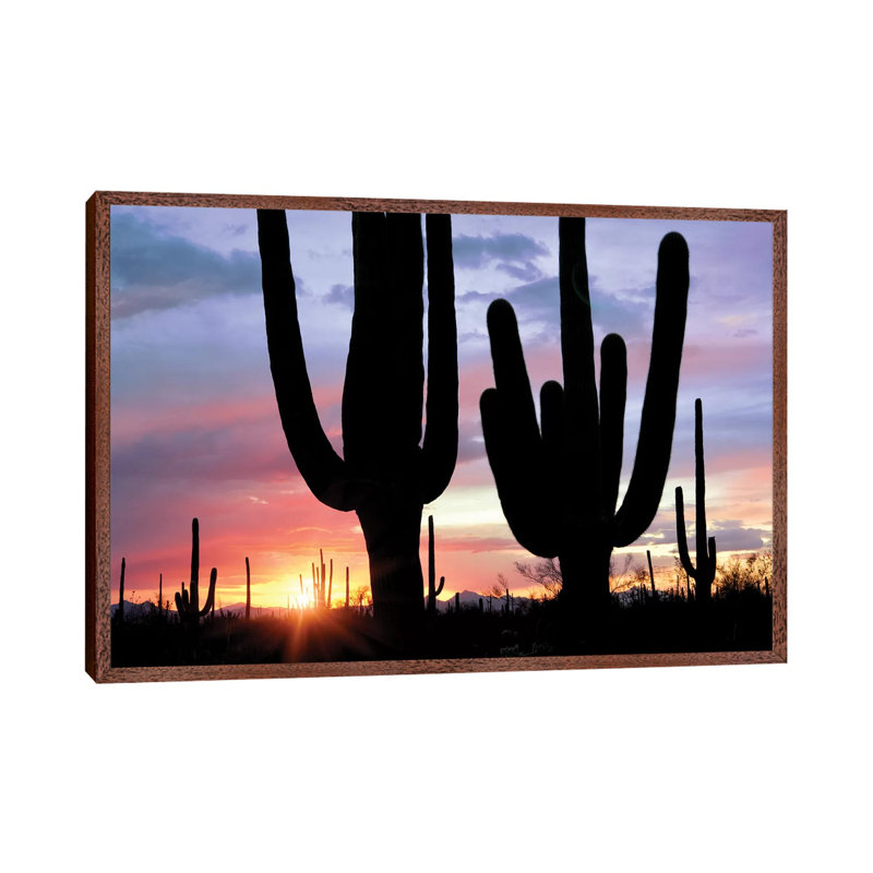 Saguaro Sunset by Dennis Frates - Print on Canvas, 66.04cm H x 101.6cm W x 3.81cm D, Classic Brown Wood Framed