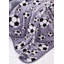 Neon Football Easy Care Eyelet Curtains-34349931