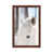 Brown Floater Framed