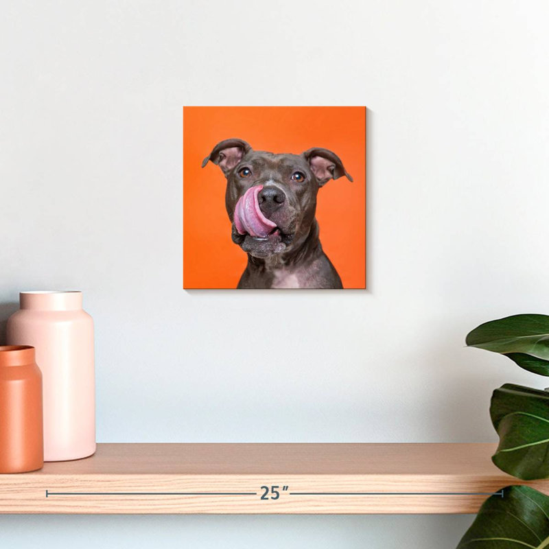 Brampt Silly Pet Pit Bull, 10" H x 10" W