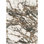 Azarcon Machine Woven Abstract Area Rug