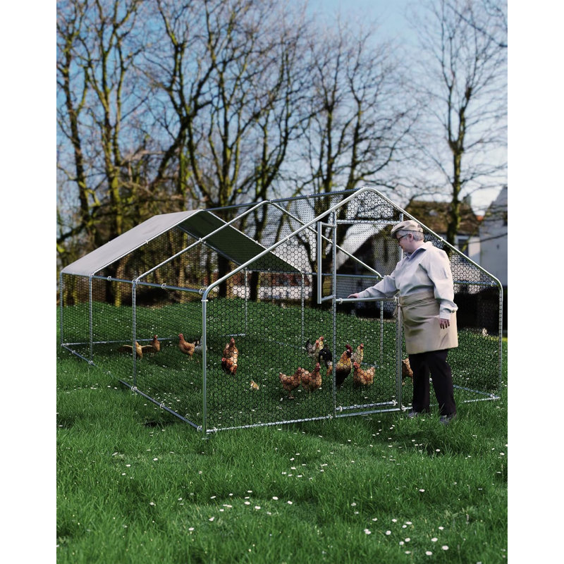 Chicken Coop, 200.2 cm H × 299.7 cm W × 320 cm D