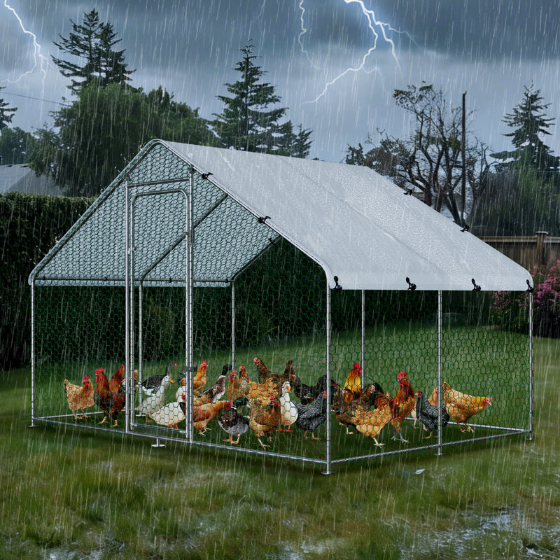 Denne Walk In Chicken Run, 78" H x 78" W x 117" D