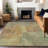 Machine Washable Indoor/Outdoor Claudian ACN1632 Aloe Rug-104235853