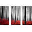 Autumn Woods - Ensemble de 3 photos sur toile tendue-1819823575