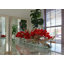 Driftwood Cymbidium Orchids Centerpiece in Glass Planter-1216674885-1216674882