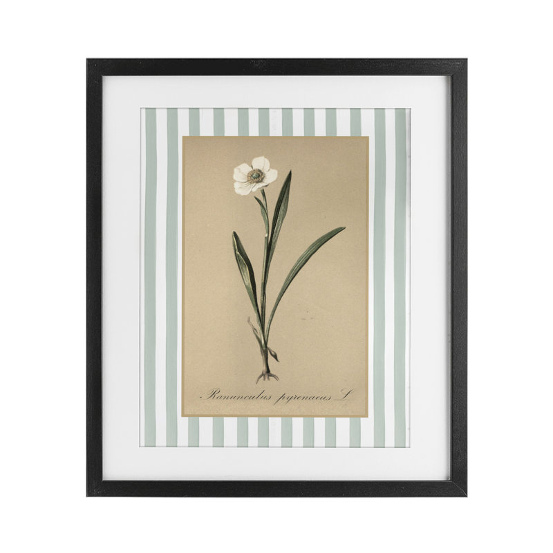 «Wild Poppy» avec rayures vertes encadrées sous verre, design avec lettres et doublure, Cadre noir minuit, H 16 po x l 13 po