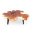 Solid Wood Coffee Table