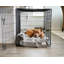 Couverture pour animaux de compagnie Pet Parents®-87817385-87817382