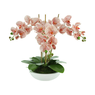 Cairo Polysilk Orchid Arrangement in Planter