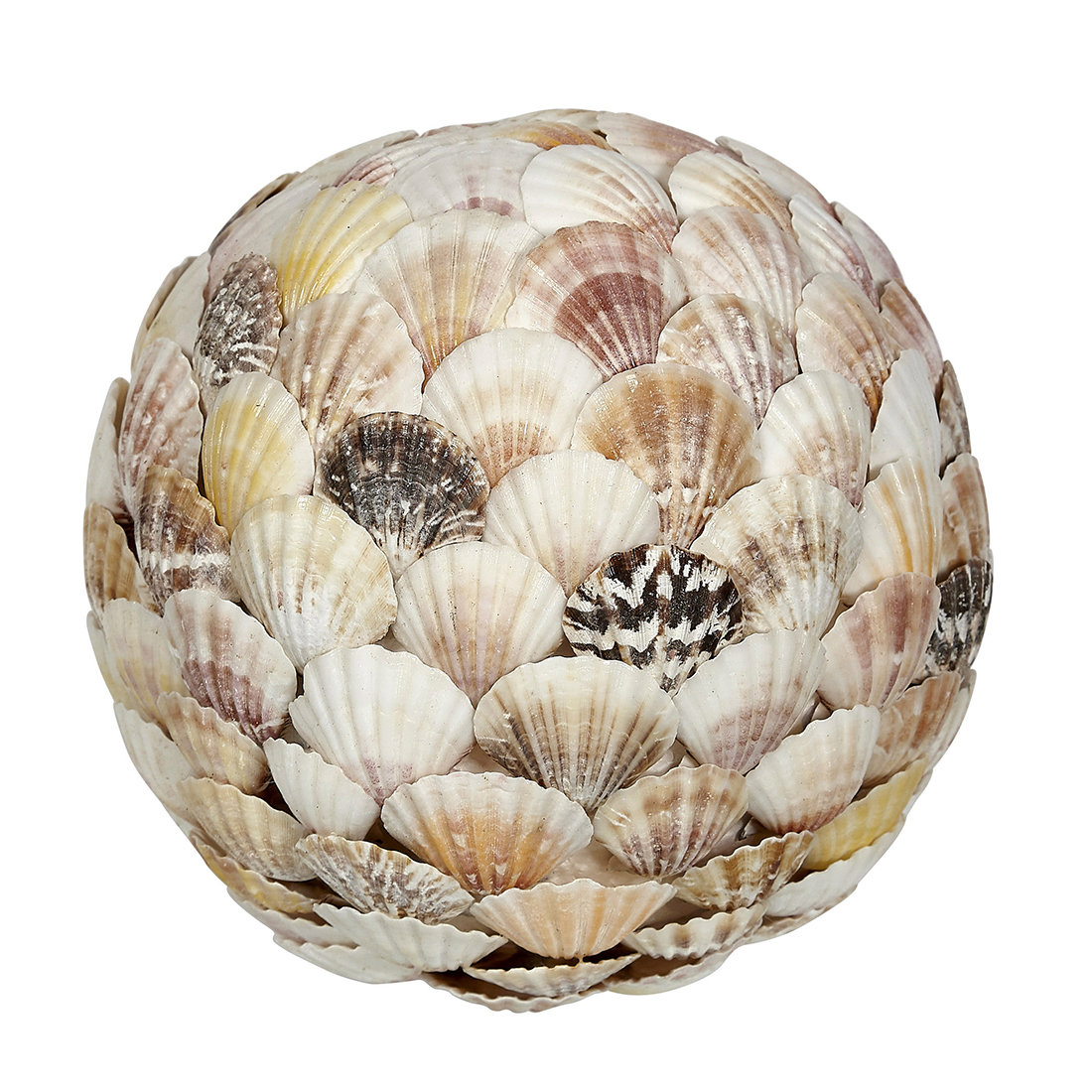 Highland Dunes Cabe Scallop Shell Orb Sculpture | Wayfair