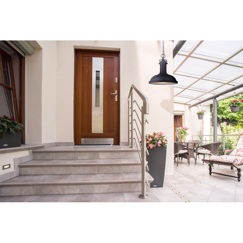 Luminaire suspendu d'extérieur noir à 1 lumière H 12,25 po Harriet
