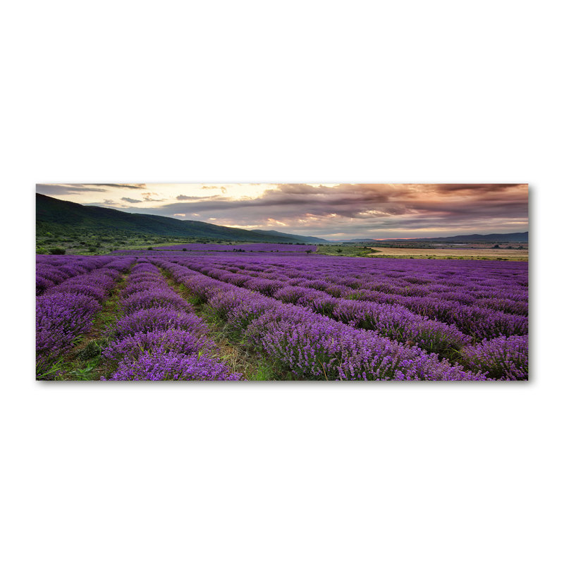Lavender Field - Wrapped Canvas Print
