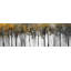 Abstrait forêt jaune - reproduction encadrée avec passe-partout pour la décoration intérieure