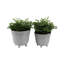 Sagebrook Home Unique Footed Planters, Ivory, 2-Pieces-1780321512