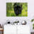 Brampt Lurking Black Jaguar-107696025