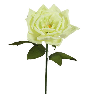 Tige de magnolia