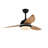 48'' Ceiling Fan with LED Lights