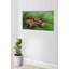 A Crab On It's Back by Vincent Van Gogh - Wrapped Canvas Painting-1173502857