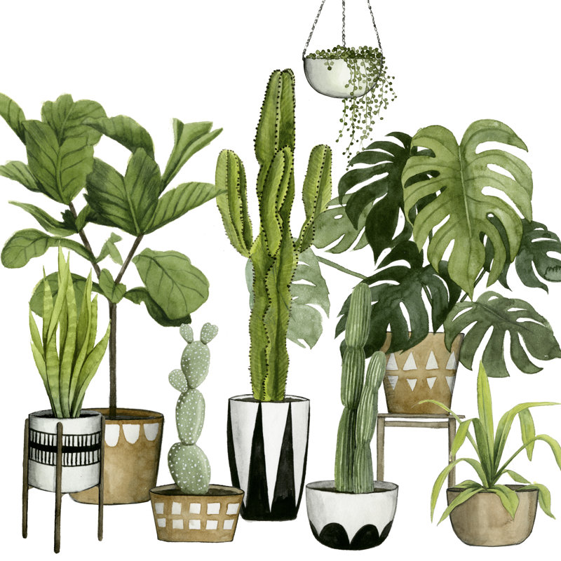 Plant Haven I by Grace Popp - Wrapped Canvas Painting, 91cm H x 91cm W x 3.8cm D