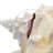 Parodi Animals Figurines & Sculptures-816572058
